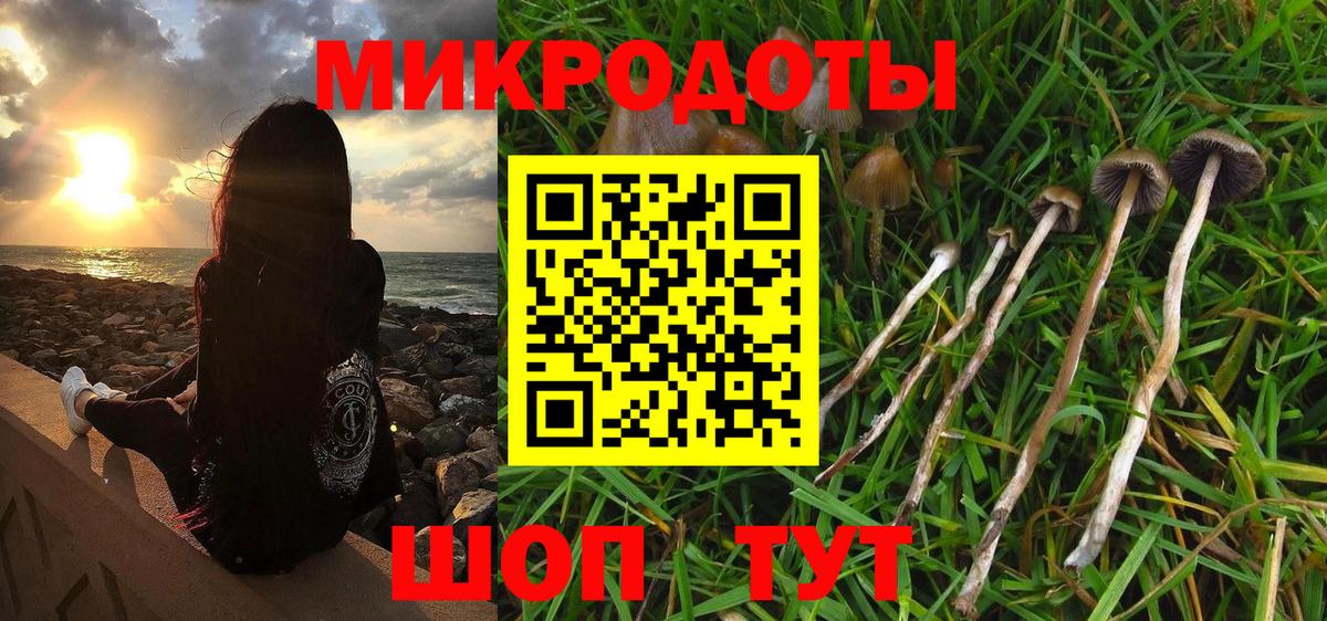 Норильск  Галлюциногенные грибы MAGIC MUSHROOMS  Вход с VPN  Псилоцибиновые грибы GOLDEN TEACHER 